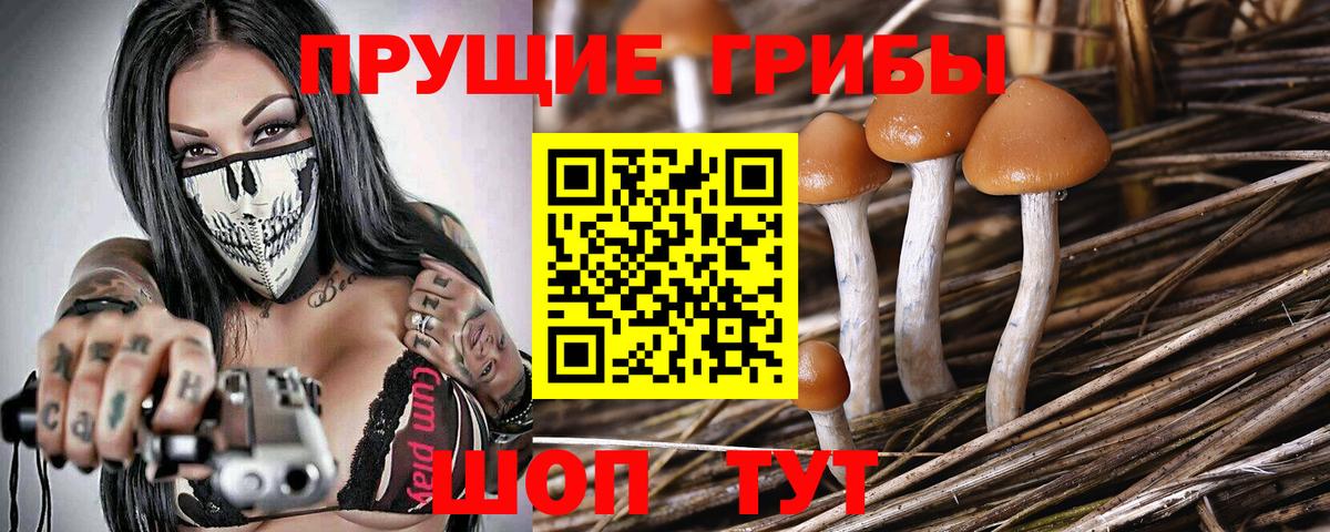 Галлюциногенные грибы MAGIC MUSHROOMS Фролово