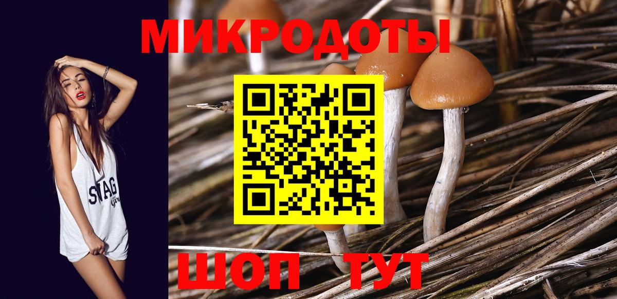 Фролово  Псилоцибиновые грибы Magic Shrooms  Вход с VPN  Галлюциногенные грибы Psilocybine cubensis 