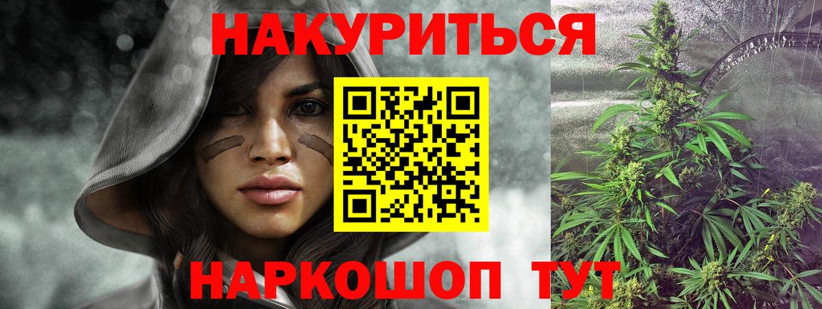 Бошки Шишки планчик Фролово
